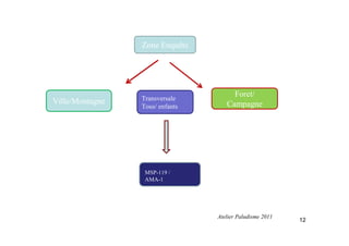 Zone Enquête
Foret/
CampagneVille/Montagne Transversale
Tous/ enfants
MSP-119 /
AMA-1
12
Atelier Paludisme 2011
 