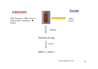MSP-119/ AMA-1
Elements du sang
ELISA
HRP-2
pLDH
Elution
TerrainLaboratoire
TDR: Morceaux + PBS :Tween et
sodium Azide / Incubation
Elution
15
Atelier Paludisme 2011
 