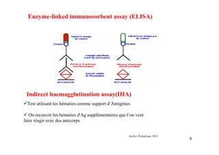 Enzyme-linked immunosorbent assay (ELISA)
Indirect haemagglutination assay(IHA)
6
Atelier Paludisme 2011
Test utilisant les hématies comme support d’Antigènes
On recouvre les hématies d'Ag supplémentaires que l’on veut
faire réagir avec des anticorps
 