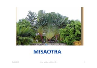 28/08/2012   Atelier paludisme, édition 2011   14
 