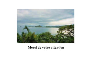 Merci de votre attention
 