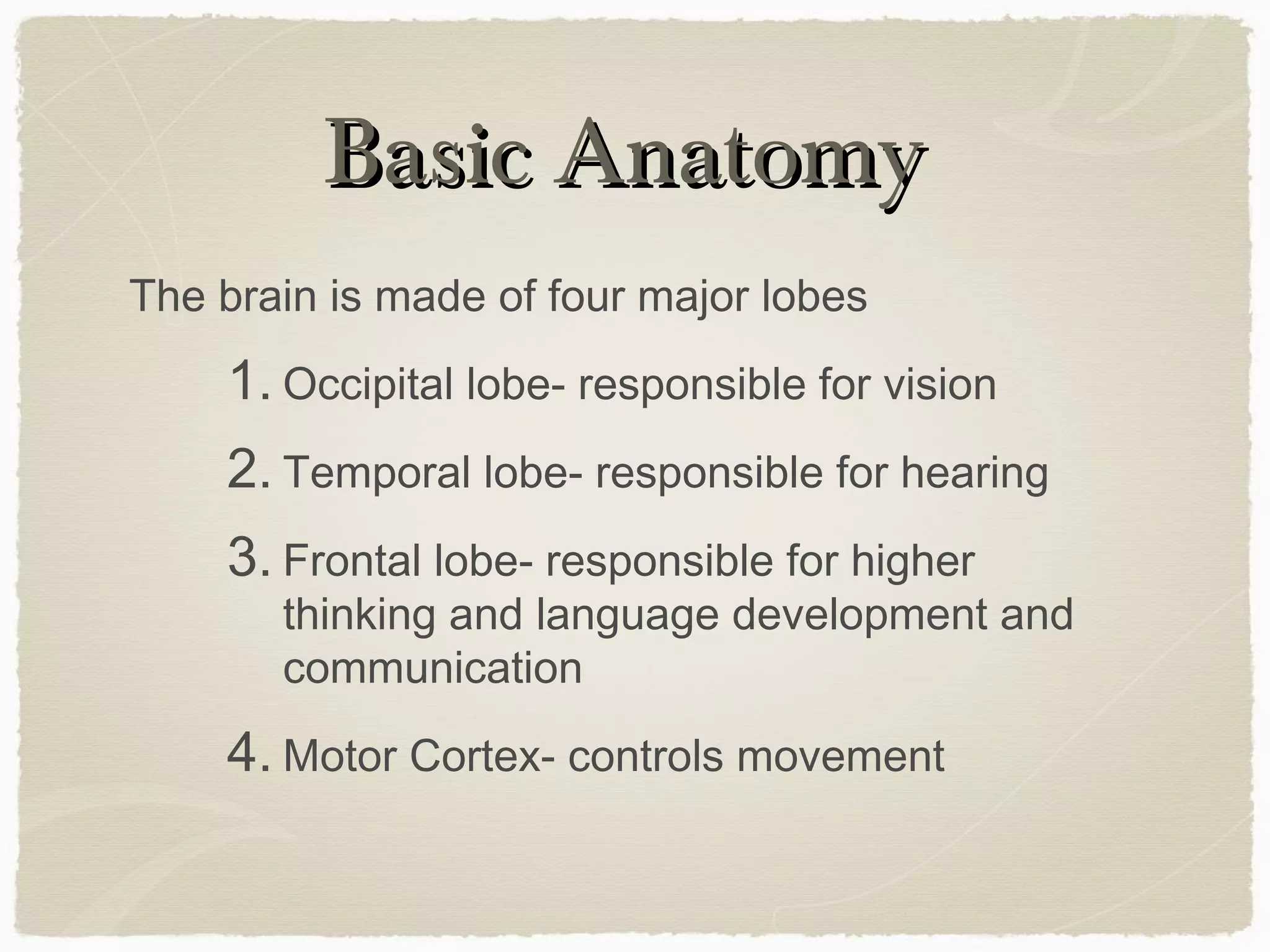 Basic Anatomy
The brain is made of four major lobes
    1. Occipital lobe- responsible for vision
    2. Temporal lobe- responsible for hearing
    3. Frontal lobe- responsible for higher
       thinking and language development and
       communication
    4. Motor Cortex- controls movement
 