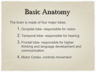 Basic Anatomy
The brain is made of four major lobes
    1. Occipital lobe- responsible for vision
    2. Temporal lobe- responsible for hearing
    3. Frontal lobe- responsible for higher
       thinking and language development and
       communication
    4. Motor Cortex- controls movement
 