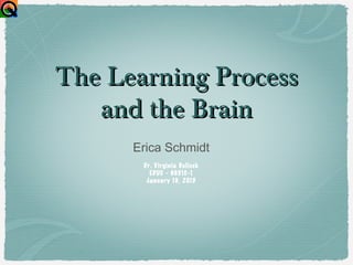 The Learning Process
   and the Brain
      Erica Schmidt
       Dr. Virginia Bullock
         EDUC - 6651C-1
        January 19, 2013
 