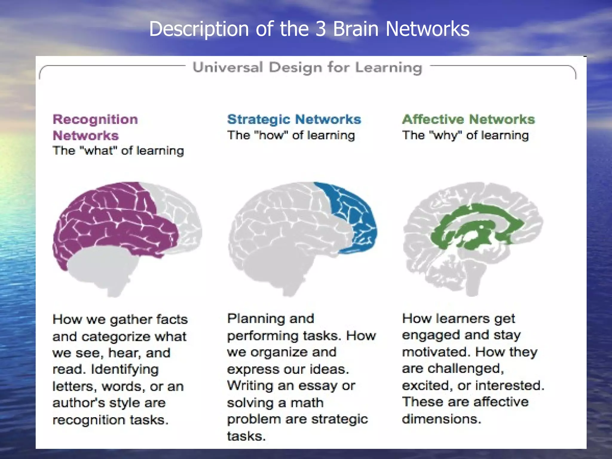 Description of the 3 Brain Networks 