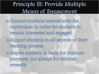 Teach students information in a way that they can transfer it to different situationsPrinciple l: Provide Multiple Means of Representation