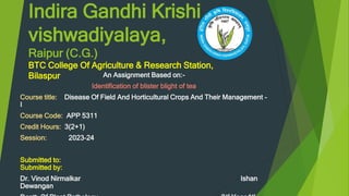 Indira Gandhi Krishi
vishwadiyalaya,
Raipur (C.G.)
An Assignment Based on:-
Identification of blister blight of tea
Course title: Disease Of Field And Horticultural Crops And Their Management –
I
Course Code: APP 5311
Credit Hours: 3(2+1)
Session: 2023-24
Submitted to:
Submitted by:
Dr. Vinod Nirmalkar Ishan
Dewangan
BTC College Of Agriculture & Research Station,
Bilaspur
 