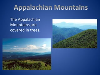 The Appalachian
Mountains are
covered in trees.
 