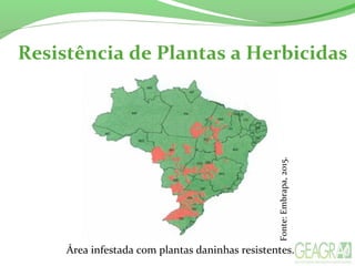 Resistência de Plantas a Herbicidas
Fonte:Embrapa,2015.
Área infestada com plantas daninhas resistentes.
 