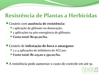 Resistência de Plantas a Herbicidas
Cenário com ausência de resistência:
1 aplicação de glifosato na dessecação;
2 aplicações na pós-emergência de glifosato;
Custo total: R$ 90,00/ha.
Cenário de infestação de buva e amargoso:
2 a 4 aplicações de inibidores de ACCase;
Custo total: R$ 225,00 a 350,00/ha.
A resistência pode aumentar o custo de controle em até 5x.
 