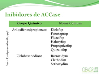 Grupo Químico Nome Comum
Ariloxifenoxipropionato Diclofop
Fenoxaprop
Fluazifop
Haloxyfop
Propaquizafop
Quizalofop
Ciclohexanodiona Butroxidym
Clethodim
Sethoxydim
Inibidores de ACCase
Fonte:RodrigueseAlmeida,1998.
 