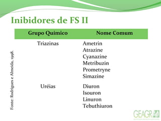 Inibidores de FS II
Grupo Químico Nome Comum
Triazinas Ametrin
Atrazine
Cyanazine
Metribuzin
Prometryne
Simazine
Uréias Diuron
Isouron
Linuron
Tebuthiuron
Fonte:RodrigueseAlmeida,1998.
 
