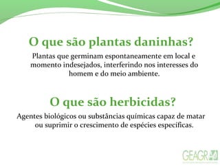 O que são herbicidas?
Agentes biológicos ou substâncias químicas capaz de matar
ou suprimir o crescimento de espécies específicas.
O que são plantas daninhas?
Plantas que germinam espontaneamente em local e
momento indesejados, interferindo nos interesses do
homem e do meio ambiente.
 