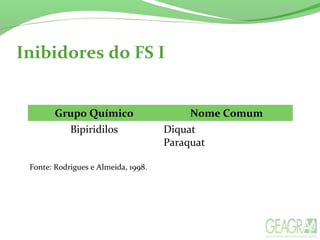 Grupo Químico Nome Comum
Bipiridilos Diquat
Paraquat
Inibidores do FS I
Fonte: Rodrigues e Almeida, 1998.
 