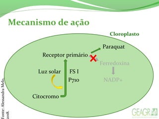 Paraquat
Receptor primário
Ferredoxina
Luz solar FS I
P710 NADP+
Citocromo
Mecanismo de ação
onte:AlessandraMelo,
018.
Cloroplasto
 