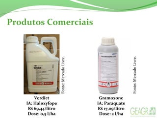 Produtos Comerciais
Verdict
IA: Haloxyfope
R$ 69,44/litro
Dose: 0,5 l/ha
Gramoxone
IA: Paraquate
R$ 17,09/litro
Dose: 2 l/ha
Fonte:MercadoLivre.
Fonte:MercadoLivre.
 