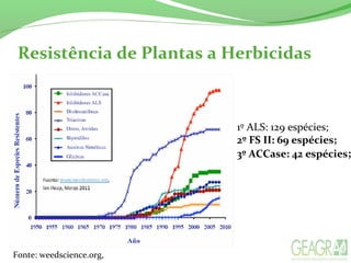 Resistência de Plantas a Herbicidas
1º ALS: 129 espécies;
2º FS II: 69 espécies;
3º ACCase: 42 espécies;
Fonte: weedscience.org,
 