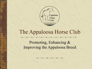 The Appaloosa Horse Club Promoting, Enhancing & Improving the Appaloosa Breed 