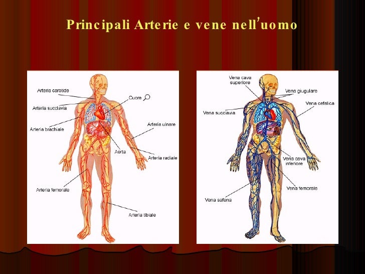 Esercizi per un fondo a varicosity