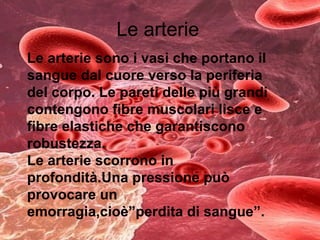 Le arterie Le arterie sono i vasi che portano il sangue dal cuore verso la periferia del corpo. Le pareti delle più grandi contengono fibre muscolari lisce e fibre elastiche che garantiscono robustezza. Le arterie scorrono in profondità.Una pressione può provocare un emorragia,cioè”perdita di sangue”. 