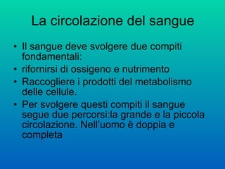 La circolazione del sangue Il sangue deve svolgere due compiti fondamentali: rifornirsi di ossigeno e nutrimento  Raccogliere i prodotti del metabolismo delle cellule. Per svolgere questi compiti il sangue segue due percorsi:la grande e la piccola circolazione. Nell’uomo è doppia e completa 