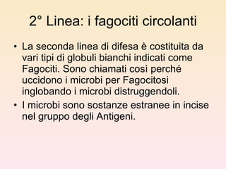 2° Linea: i fagociti circolanti La seconda linea di difesa è costituita da vari tipi di globuli bianchi indicati come Fagociti. Sono chiamati così perché uccidono i microbi per Fagocitosi inglobando i microbi distruggendoli. I microbi sono sostanze estranee in incise nel gruppo degli Antigeni. 
