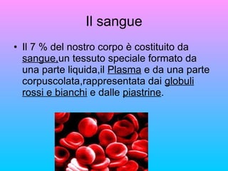 Il sangue Il 7 % del nostro corpo è costituito da  sangue, un tessuto speciale formato da una parte liquida,il  Plasma  e da una parte corpuscolata,rappresentata dai  globuli rossi e bianchi  e dalle  piastrine . 