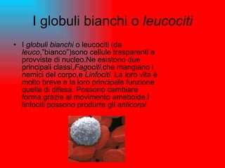 I globuli bianchi o  leucociti I  globuli bianchi  o leucociti (da  leuco ,”bianco”)sono cellule trasparenti e provviste di nucleo.Ne esistono due principali classi, Fagociti ,che mangiano i nemici del corpo,e  Linfociti . La loro vita è molto breve e la loro principale funzione  quella di difesa. Possono cambiare forma grazie al movimento ameboide.I linfociti possono produrre gli  anticorpi. 