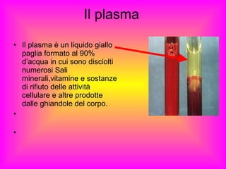 Il plasma Il plasma è un liquido giallo paglia formato al 90% d’acqua in cui sono disciolti numerosi Sali minerali,vitamine e sostanze di rifiuto delle attività cellulare e altre prodotte dalle ghiandole del corpo. 