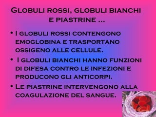 Globuli rossi, globuli bianchi  e piastrine … I globuli rossi contengono emoglobina e trasportano ossigeno alle cellule. I globuli bianchi hanno funzioni di difesa contro le infezioni e producono gli anticorpi. Le piastrine intervengono alla coagulazione del sangue.  