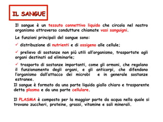 Il sangue è un  tessuto connettivo liquido  che circola nel nostro organismo attraverso condutture chiamate  vasi sanguigni . Le funzioni principali del sangue sono: distribuzione di  nutrienti  e di  ossigeno  alle cellule; prelievo di sostanze non più utili all’organismo, trasportate agli organi destinati ad eliminarle; trasporto di sostanze importanti, come gli ormoni, che regolano il funzionamento degli organi, e gli anticorpi, che difendono l’organismo dall’attacco dei microbi  e in generale sostanze estranee. Il sangue è formato da una parte liquida giallo chiaro e trasparente detta  plasma  e da una parte  cellulare . Il  PLASMA  è composto per la maggior parte da acqua nella quale si trovano zuccheri, proteine, grassi, vitamine e sali minerali. IL SANGUE 
