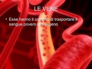 LE VENE Esse hanno il compito di trasportare il sangue povero di ossigeno 