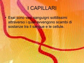 I CAPILLARI Essi sono vasi sanguigni sottilissimi attraverso i quali avvengono scambi di sostanze tra il sangue e le cellule.  