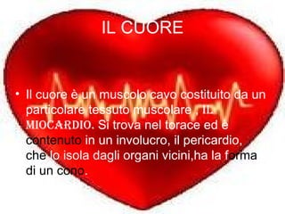IL CUORE Il cuore è un muscolo cavo costituito da un particolare tessuto muscolare ,  IL MIOCARDIO.  Si trova nel torace ed è  contenuto  in un involucro, il pericardio,  che  lo isola dagli organi vicini,ha la f orma di un cono . 