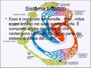 Sistema linfatico Esso è composto da: tonsille , timo , milza e vasi linfatici nei quali scorre la linfa. È composto anche dai linfonodi che contengono i linfociti che fanno parte dei sistemi di difesa del corpo.  