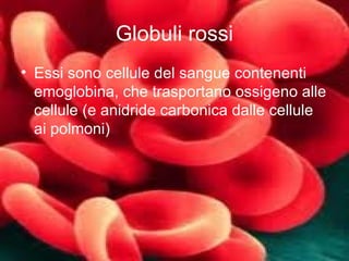 Globuli rossi Essi sono cellule del sangue contenenti emoglobina, che trasportano ossigeno alle cellule (e anidride carbonica dalle cellule ai polmoni) 