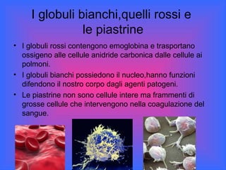 Apparato Circolatorio Pietro E Davide | PPT