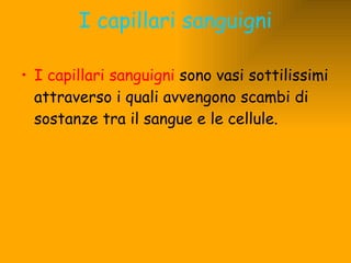 I capillari sanguigni I capillari sanguigni  sono vasi sottilissimi attraverso i quali avvengono scambi di sostanze tra il sangue e le cellule. 