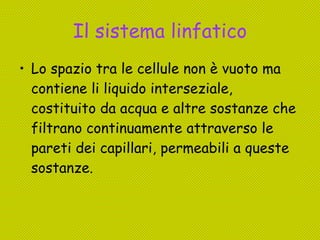 Il sistema linfatico Lo spazio tra le cellule non è vuoto ma contiene li liquido interseziale, costituito da acqua e altre sostanze che filtrano continuamente attraverso le pareti dei capillari, permeabili a queste sostanze. 