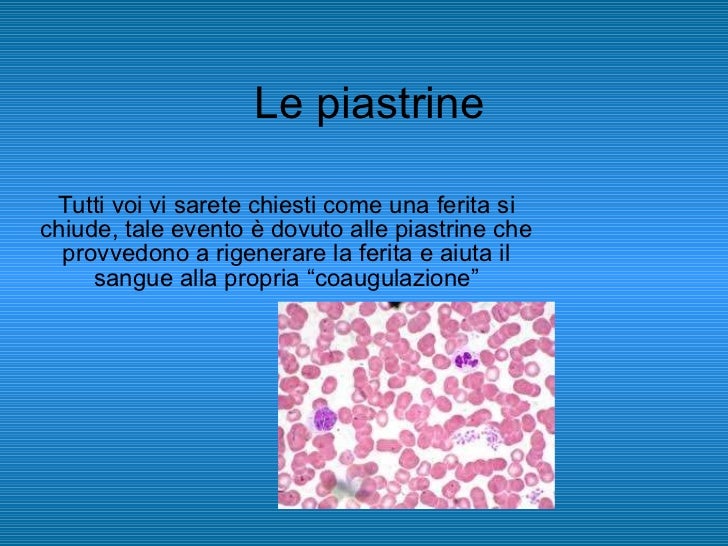 Quante Piastrine Ci Sono Nel Corpo Umano