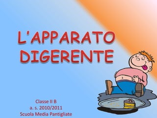 Classe II B
    a. s. 2010/2011
Scuola Media Pantigliate
 