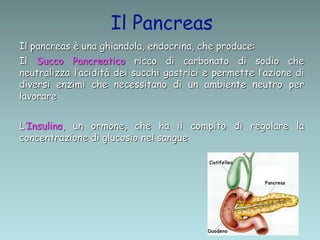 Il pancreas è una ghiandola, endocrina, che produce:
Il Succo Pancreatico ricco di carbonato di sodio che
neutralizza l’acidità dei succhi gastrici e permette l’azione di
diversi enzimi che necessitano di un ambiente neutro per
lavorare
L’Insulina, un ormone, che ha il compito di regolare la
concentrazione di glucosio nel sangue
Il Pancreas
 
