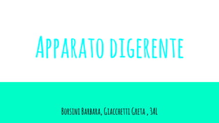 Apparatodigerente
BorsiniBarbara,Giacchetti Greta,3AL
 