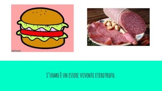 L’uomoèunesserevivente eterotrofo.
 