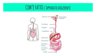 䰿’èFհհ’a貹ٴǻ徱Գٱ
 