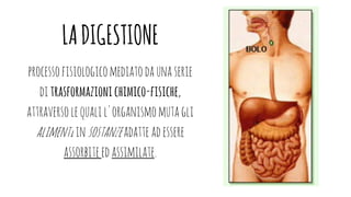 LADIGESTIONE
processofisiologicomediatodaunaserie
ditrasformazionichimico-fisiche,
attraversolequalil'organismomutagli
alimentiinsostanzeadatteadessere
assorbiteedassimilate.
 