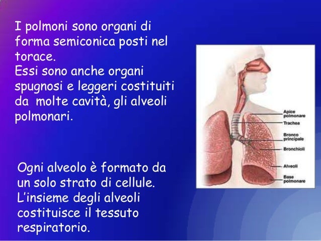 La decolorazione di pacco di faccia più semplice