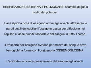RESPIRAZIONE ESTERNA o POLMONARE: scambio di gas a
                       livello dei polmoni.


L’aria ispirata ricca di ossigeno arriva agli alveoli; attraverso le
 pareti sottili dei capillari l’ossigeno passa per diffusione nei
capillari e viene quindi trasportato dal sangue in tutto il corpo.


Il trasporto dell’ossigeno avviene per mezzo del sangue dove
 l’emoglobina forma con l’ossigeno la OSSIEMOGLOBINA.


  L’anidride carbonica passa invece dal sangue agli alveoli.
 