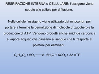 RESPIRAZIONE INTERNA o CELLULARE: l’ossigeno viene
              ceduto alle cellule per diffusione.


  Nelle cellule l’ossigeno viene utilizzato dai mitocondri per
portare a termine la demolizione di molecole di zucchero e la
produzione di ATP. Vengono prodotti anche anidride carbonica
  e vapore acqueo che passano al sangue che li trasporta ai
                    polmoni per eliminarli.

      C6H12O6 + 6O2          6H2O + 6CO2 + 32 ATP
 