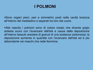 I POLMONI
Sono organi pieni, pari e simmetrici posti nella cavità toracica
all’interno del mediastino e separati tra loro dal cuore.
Alla nascita i polmoni sono di colore rosato che diventa grigio
ardesia scuro con l'avanzare dell'età a causa della deposizione
all’interno tessuto areolare di granuli di una sostanza carboniosa; la
deposizione aumenta in quantità con l'avanzare dell'età ed è più
abbondante nei maschi che nelle femmine.
 